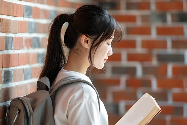 考进华北电力大学的电气研究生就一定可以进电网吗？