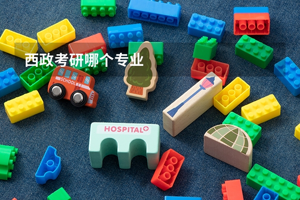 西政考研哪个专业