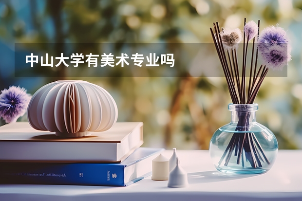 中山大学有美术专业吗