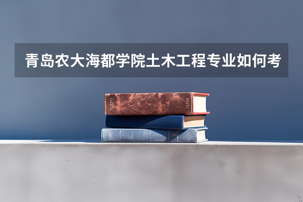 青岛农大海都学院土木工程专业如何考研