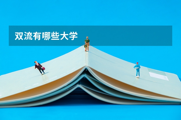 双流有哪些大学