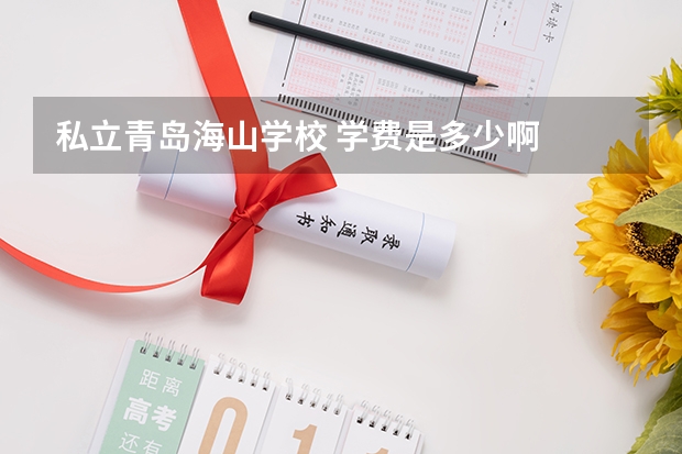 私立青岛海山学校 学费是多少啊