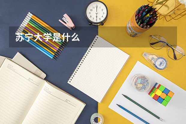 苏宁大学是什么