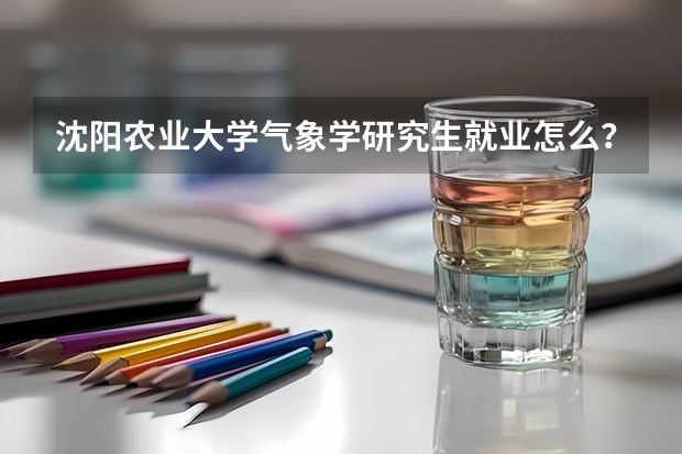 沈阳农业大学气象学研究生就业怎么？