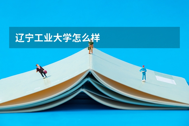 辽宁工业大学怎么样