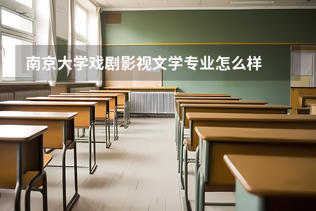 南京大学戏剧影视文学专业怎么样