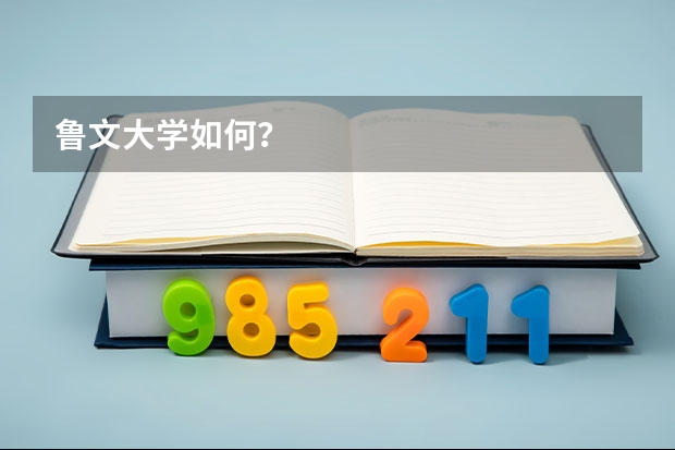 鲁文大学如何？