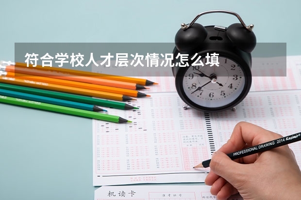 符合学校人才层次情况怎么填
