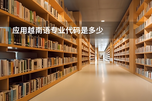应用越南语专业代码是多少