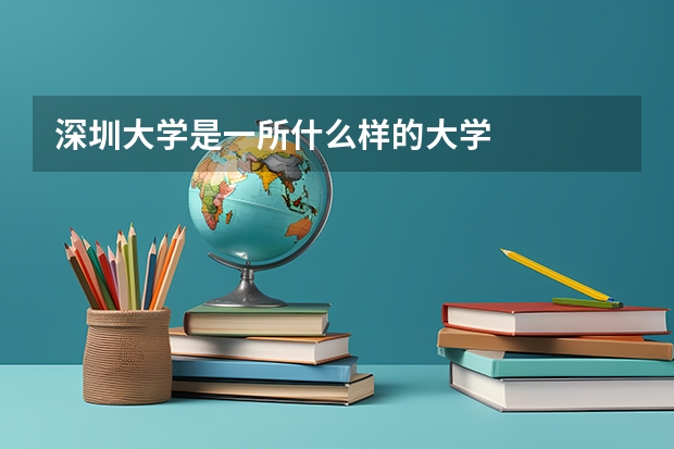 深圳大学是一所什么样的大学