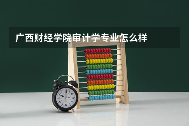 广西财经学院审计学专业怎么样