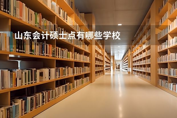 山东会计硕士点有哪些学校