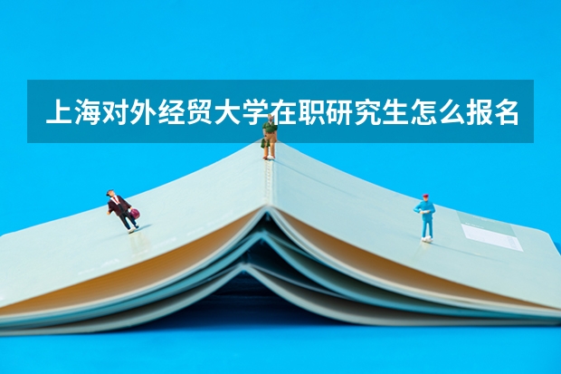 上海对外经贸大学在职研究生怎么报名？