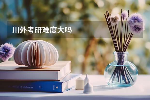 川外考研难度大吗