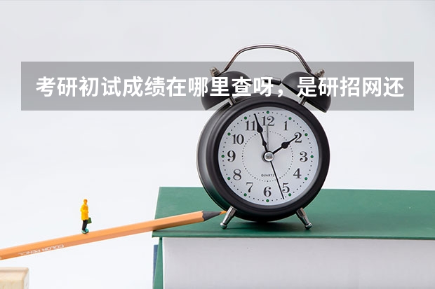 考研初试成绩在哪里查呀，是研招网还是自己所报考学校的网站呀